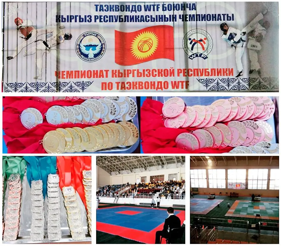 Чемпионат Кыргызской Республики по таэквондо WTF 2016 г.