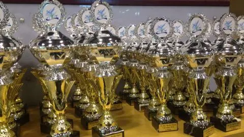 С 6-8 мая 2016 г прошел 14 й международный турнир "Berlin Open" .