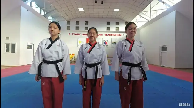 Online 2020 "13 Expo Culture Taekwondo Poomsae Championship"