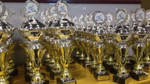 С 6-8 мая 2016 г прошел 14 й международный турнир "Berlin Open" .
